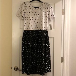 NWT Lularoe Amelia